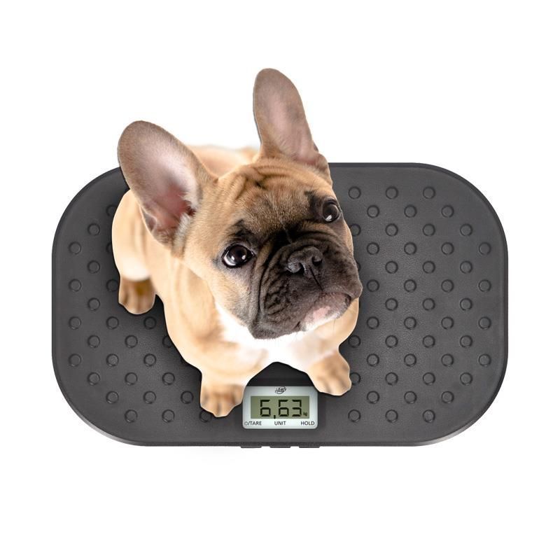 Báscula digital para mascotas