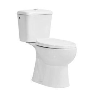 Inodoro baño