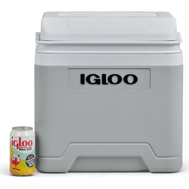 Mini-refrigerador con conexión 12V 24L Igloo IE24 DC
