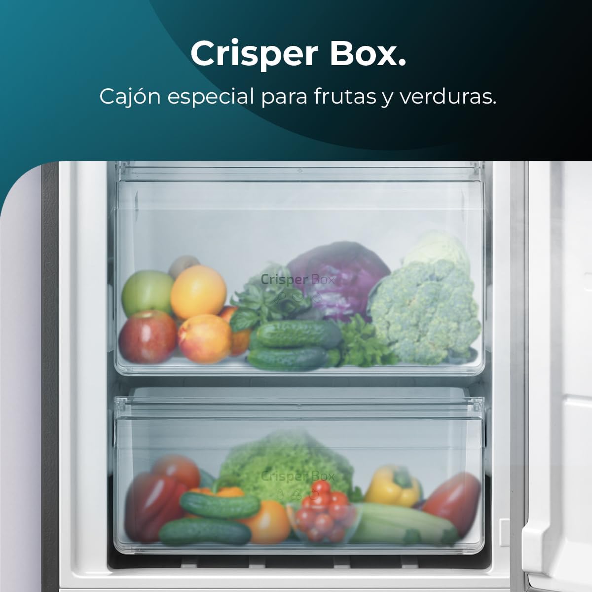 Frigorífico 1 puerta Bolero CoolMarket 1D 360 inox E 362L Cecotec - Imagen 8
